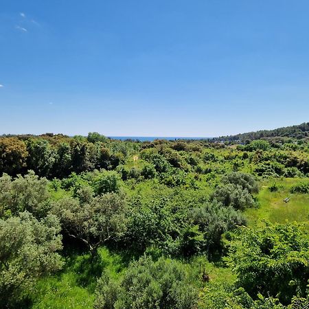 Villa Mareonda Ровинь Экстерьер фото